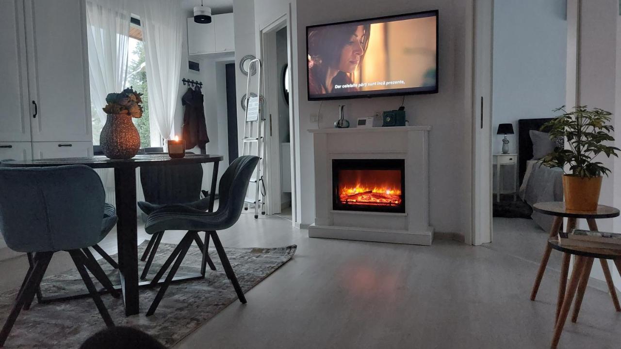 Cosy Apartment Otopeni Exterior foto